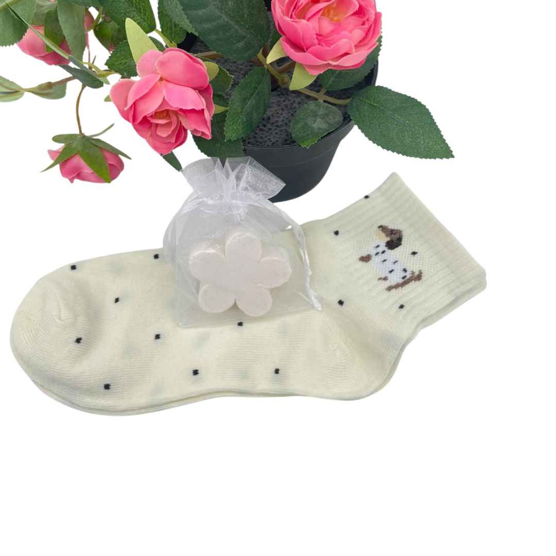 Dachshund Dog lover self care gift Box for her